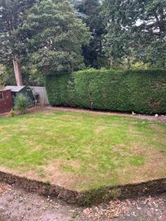 garden picture for Arley road.jpg