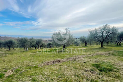 Panorama e Particolari