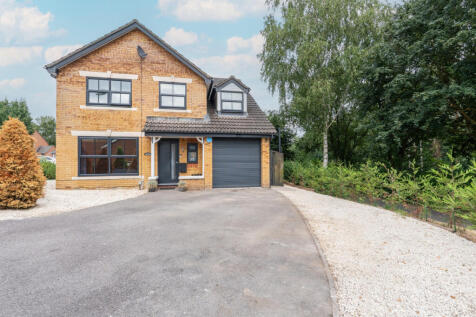 Front Garden & Driveway