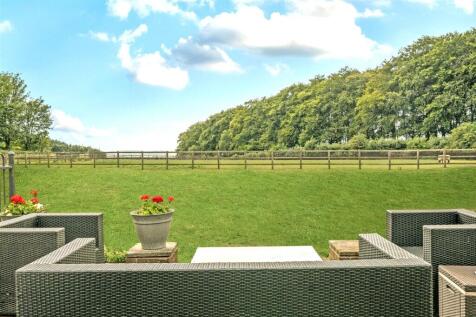 9018342-105878-133978376329884223-7545a474-b97c-89