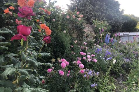 Garden In Summer