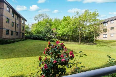 Communal Garden