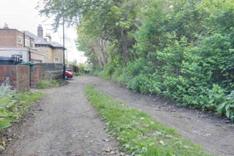 The back lane