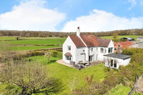 c8d55ffc-image_picker_EE3DD879-FE74-4B0C-9E6C-6611