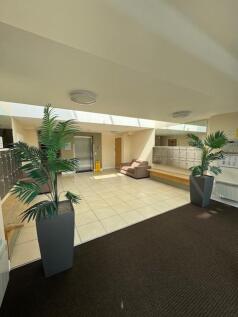 thumbnail_IMG_0289.jpg