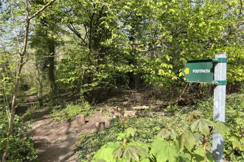 Wildlife Corridor