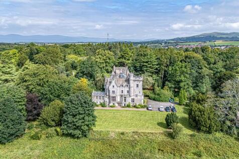 untitled (5 of 1).JPG