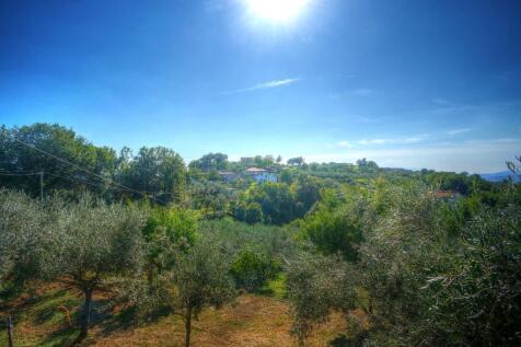 Olive groves &amp; view