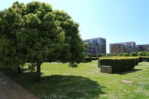Grounds