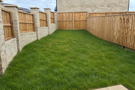 Back Garden