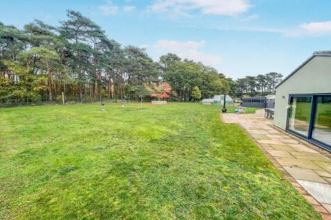 tlc_19454237-0c4b-4537-9f50-f1b3f8c65b31_55ef00e.j