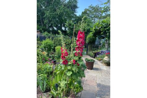 Property Image 26