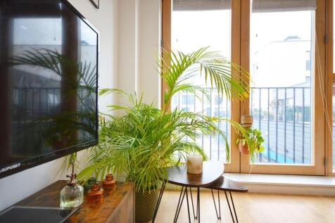 Kitchen/Living Area
