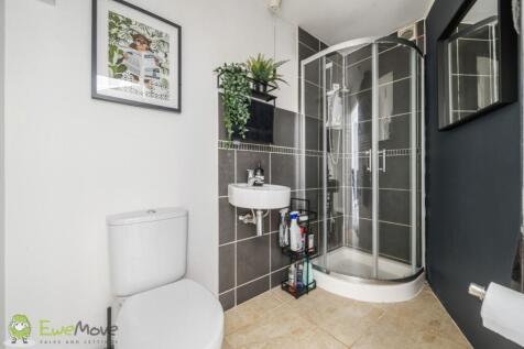 Cloakroom Shower Room