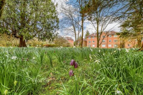 Communal Gardens