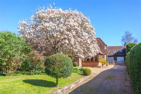 Magnolia Tree