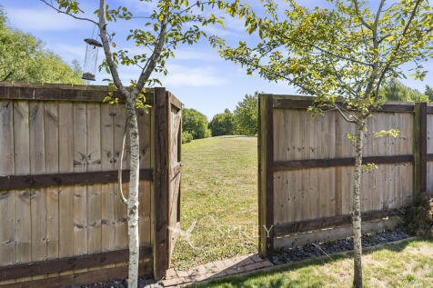 View through the ...