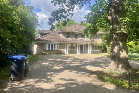 Front Aspect
