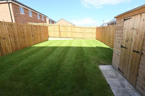DSC_8524.jpeg