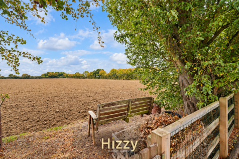 Hizzy_Photo_26