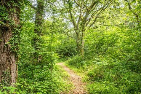 Woodland