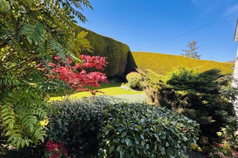 Garden 11.jpg