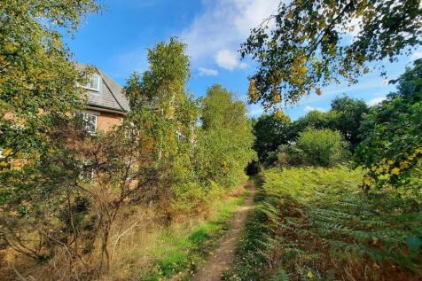 Woodland And Surrounding Area