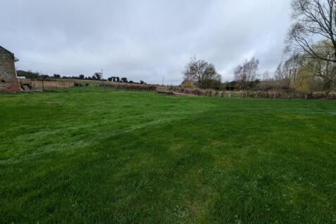 1000036553 T202602271603.jpg