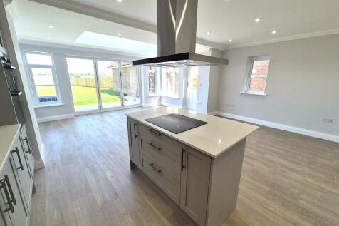 20250501_115534 EDIT