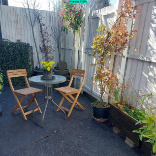 Courtyard Garden (Rear)