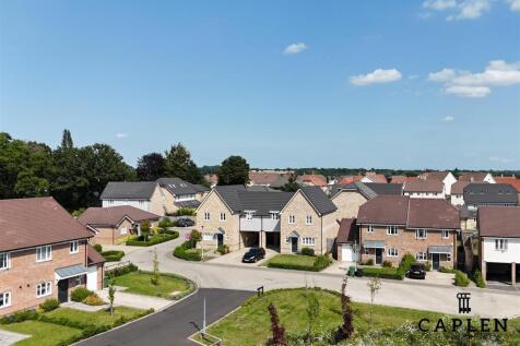 DJI_20240801150722_0007_D copy.jpg