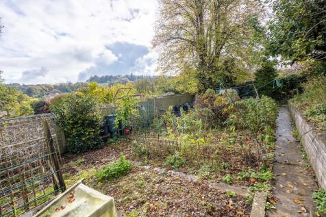 Rear Veg. Patch