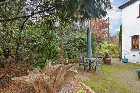 Side Garden