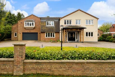 Property Image 49
