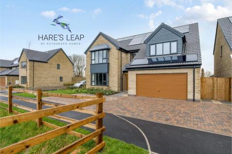Hare's Leap