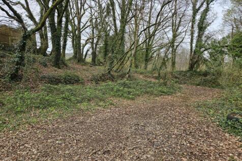 Woodland.jpg