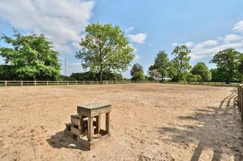 1296642-9-682600e3a0e6a-ARW.nef (2).jpg