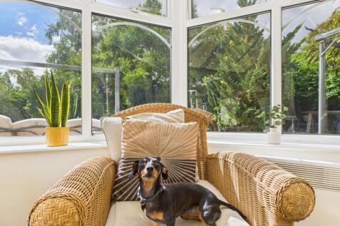 CAM02313G0-PR0094-STILL017