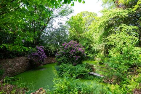 Pond