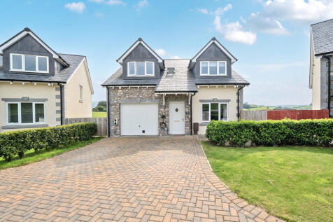 17 St. Anthony&#39;s ...