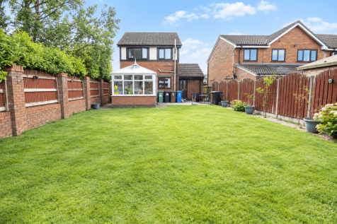 New garden