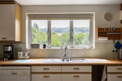 View From the Kitchen