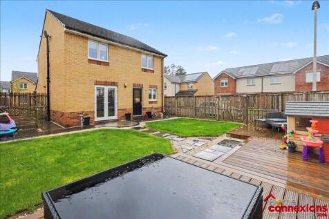Rear Garden (2)
