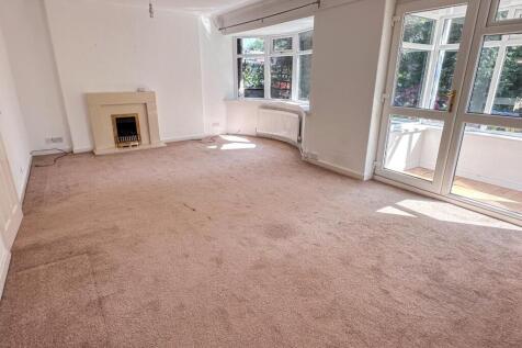 IMG_1551.jpg