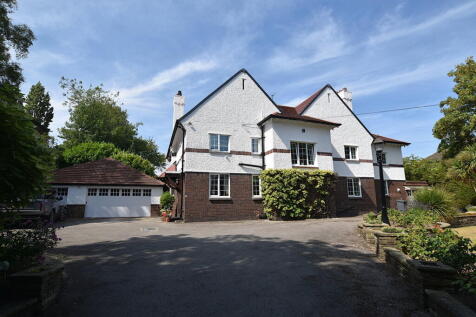 Property Image 42