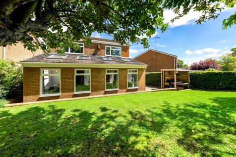 Property Image 23