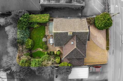 Plot View