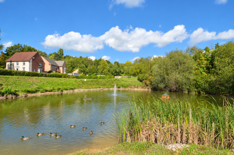Duck Pond