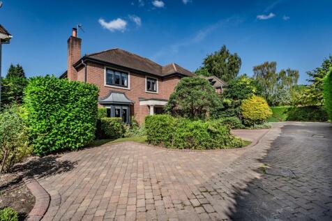 Property Image 39