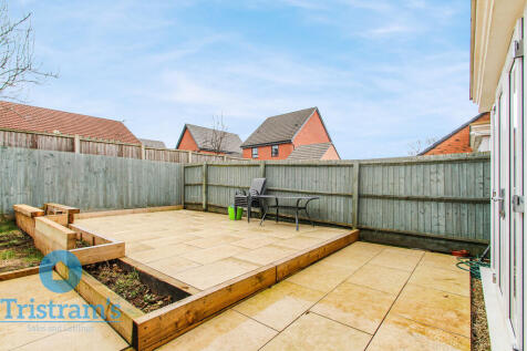 Untitled design -...